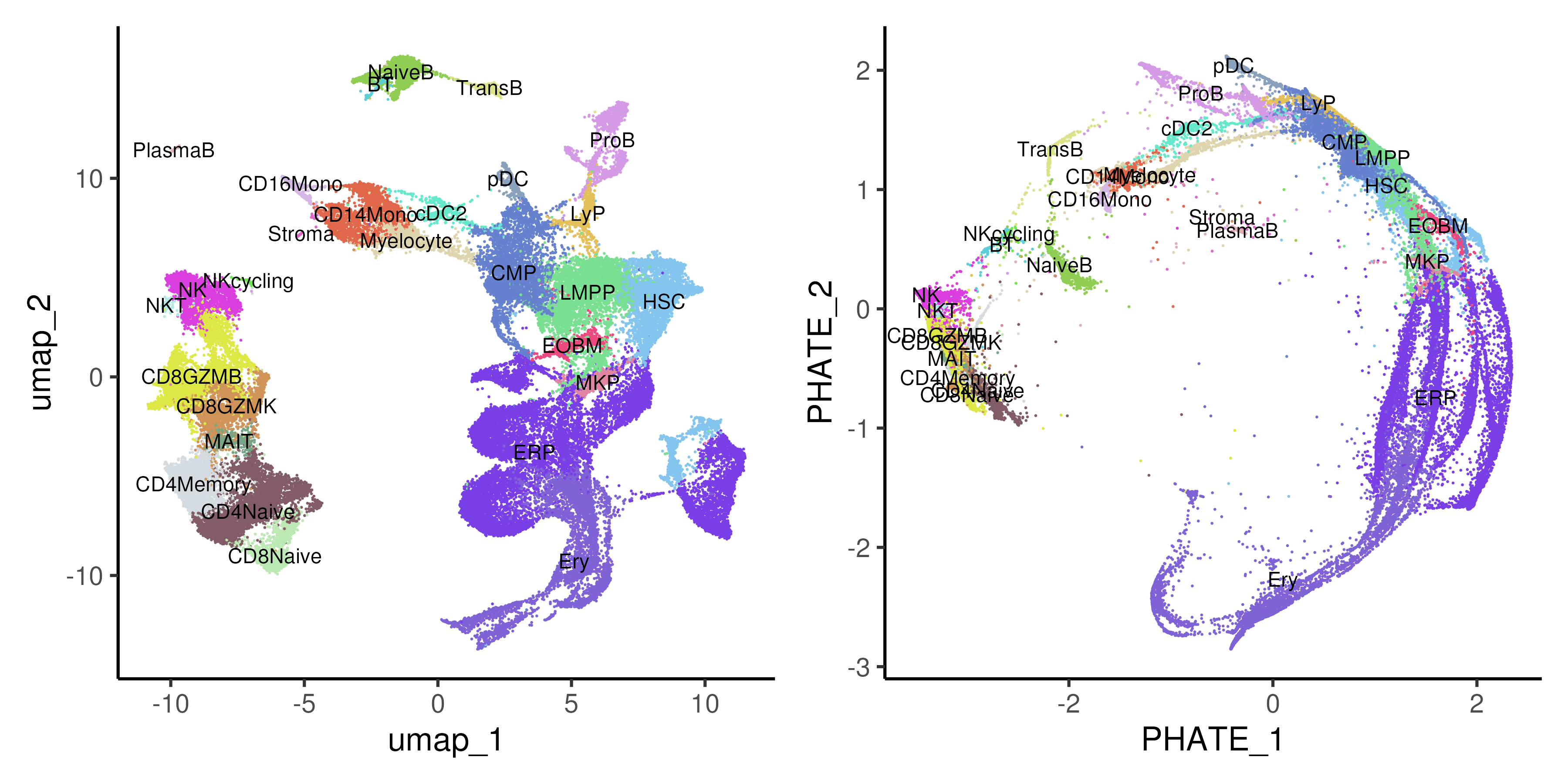 UMAP and Potential of Heat-diffusion for Affinity-based Trajectory Embedding (PHATE) of healthy and CML bone marrow data coloured by annotated cell types.