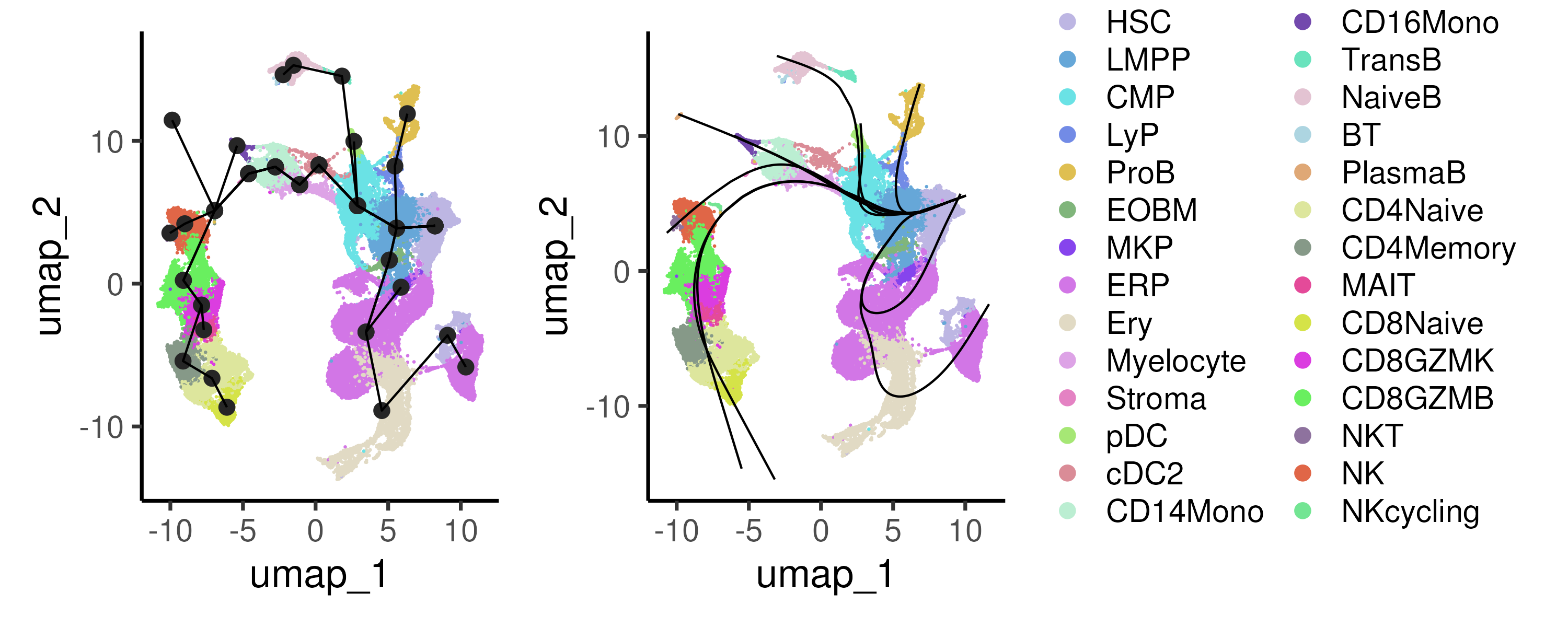 The Slingshot algorithm first connects all the cell clusters via a minimum spanning tree (left panel) to identify multiple branching trajectories. For each trajectory, Slingshot fits a smooth curve through the data (right panel) and assigns each cell a pseudotime value.