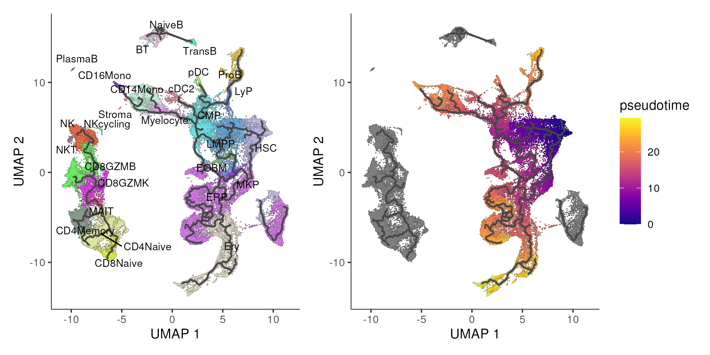 Monocle3 identifies four disjoint trajectories (left panel) with the UMAP being colored by the pseudotime of the stem and progenitor compartment in the right panel.