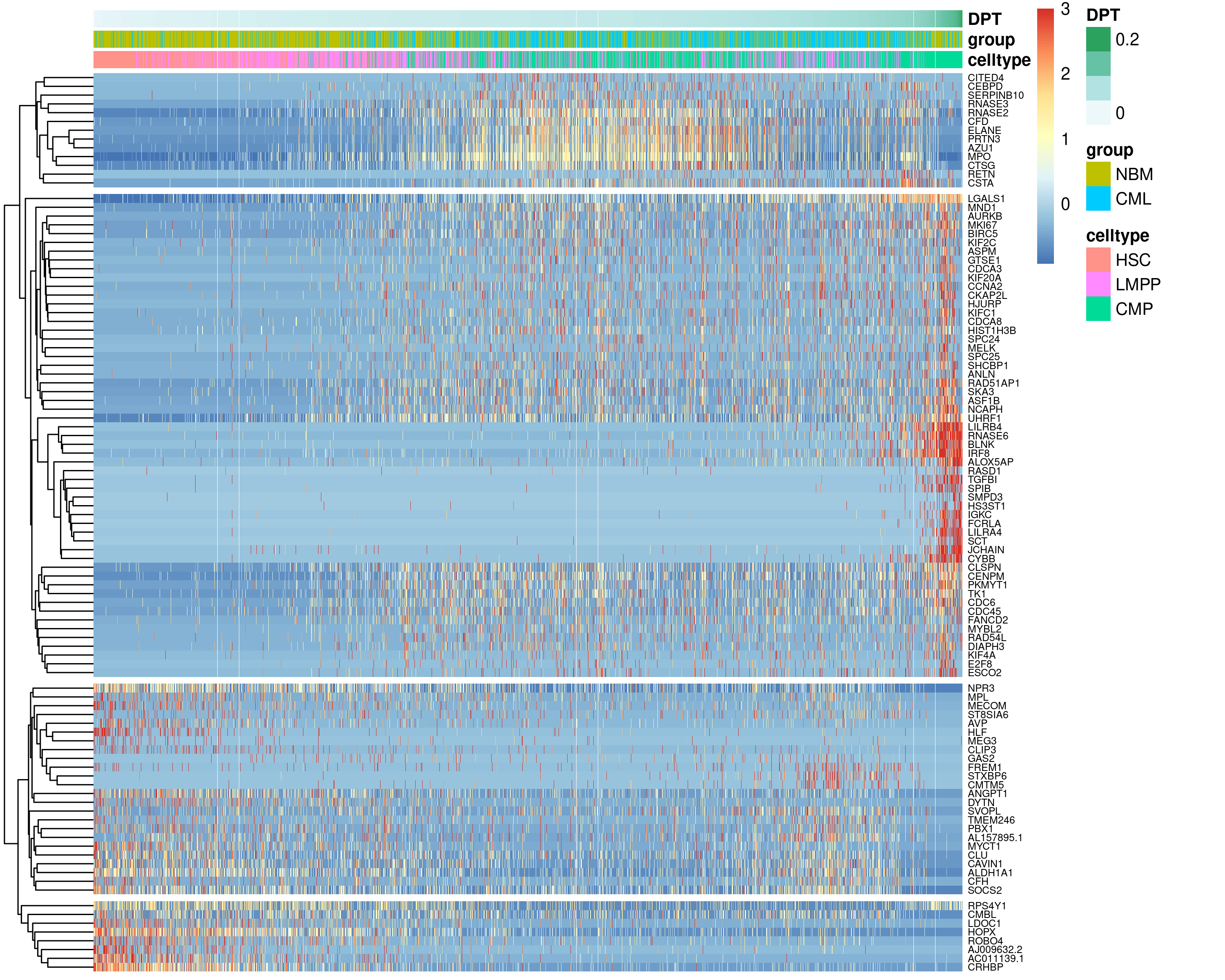 Gene expression of top 50 genes changing along the HSC-LMPP-CMP differentiation trajectory visualised on a heatmap with cells ordered by pseudotime.