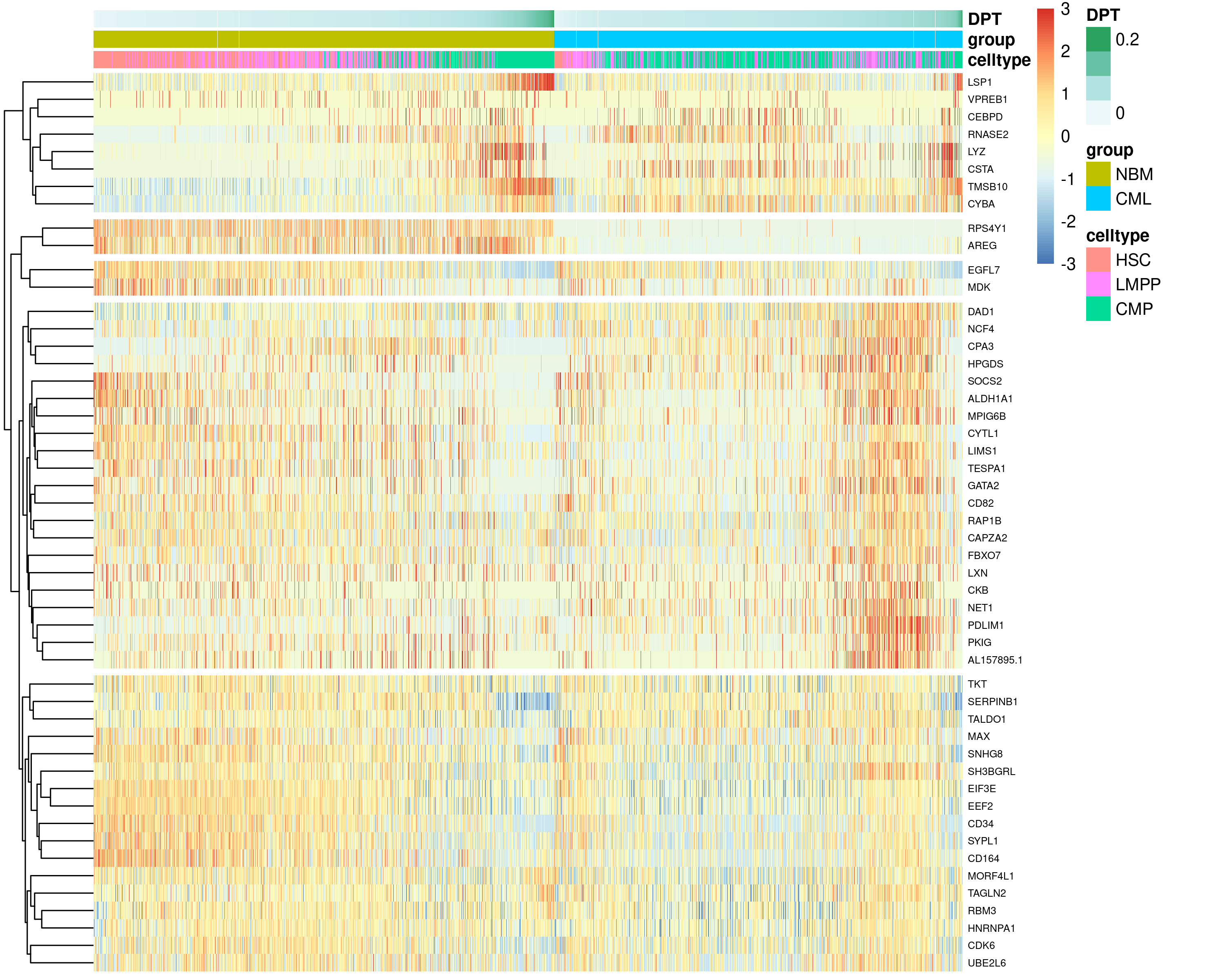 Top 50 DEGs identified from the diffEndTest, comparing the endpoints of normal HSC-LMPP-CMP trajectory and its CML counterpart.