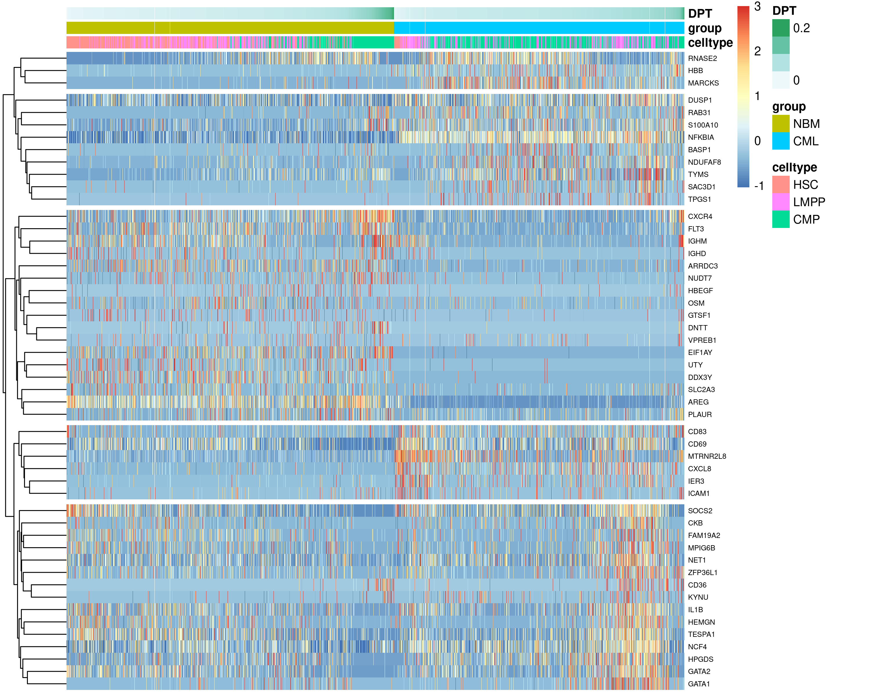 Top 50 DEGs identified from the patternTest, comparing the expression patterns along pseudotime between the normal and CML HSC-LMPP-CMP trajectory.