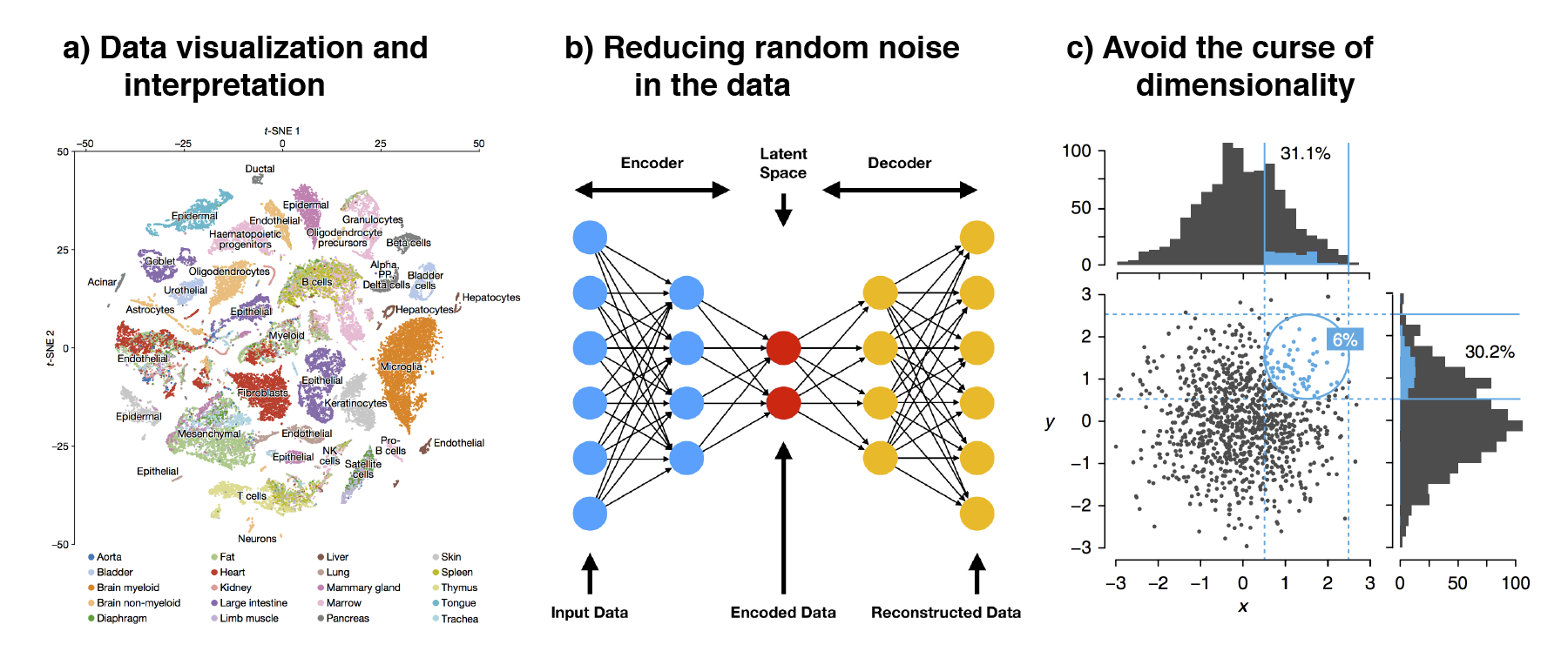 The three main reasons to perform dimension reduction in single-cell analysis is for (a) data visualization, (b) removal of random noise by "discarding" higher dimensions and (c) to avoid the curse of dimensionality.