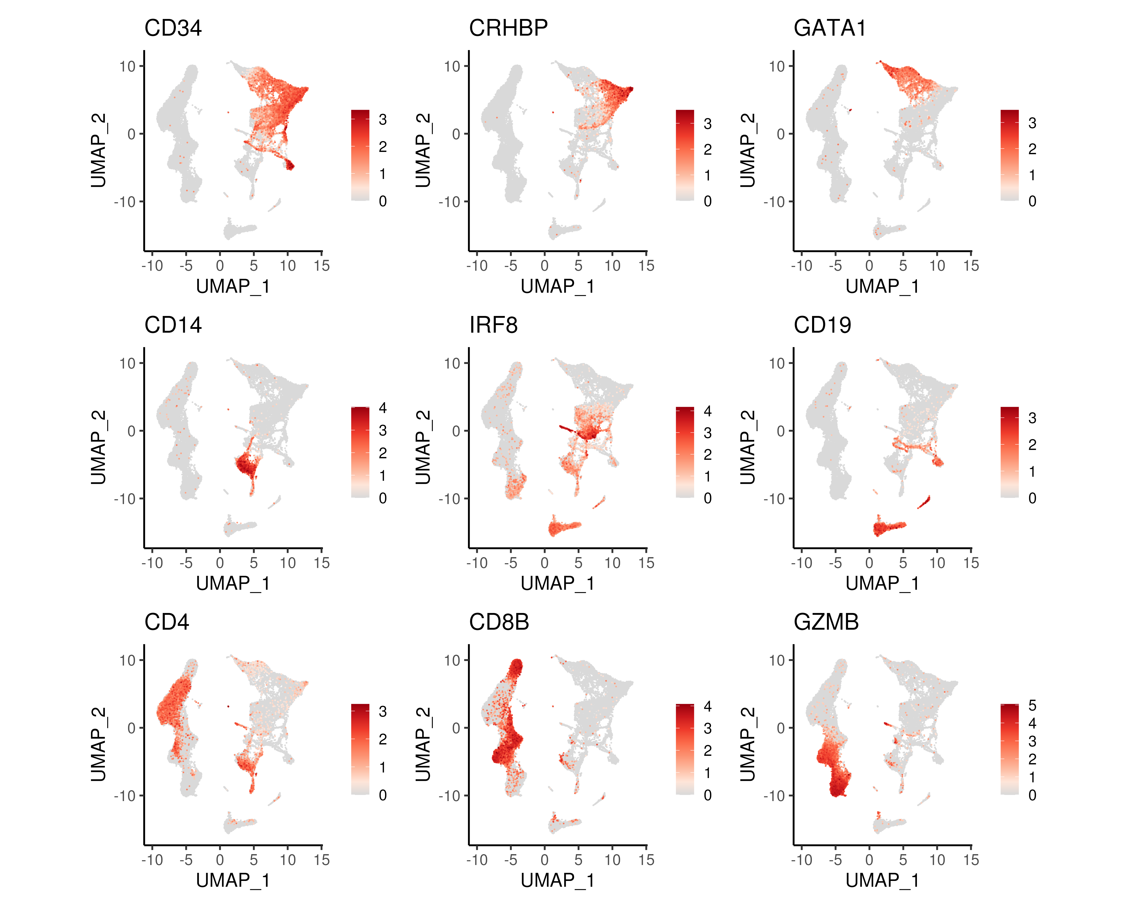 UMAP projections coloured by gene expression of genes marking progenitor cells (CD34), HSCs (CRHBP), erythoid lineage (GATA1), monocytes (CD14), dendritic cells (IRF8), B-lymphocytes (CD19), T-lymphocytes (CD4 and CD8B) and NK cells (GZMB).