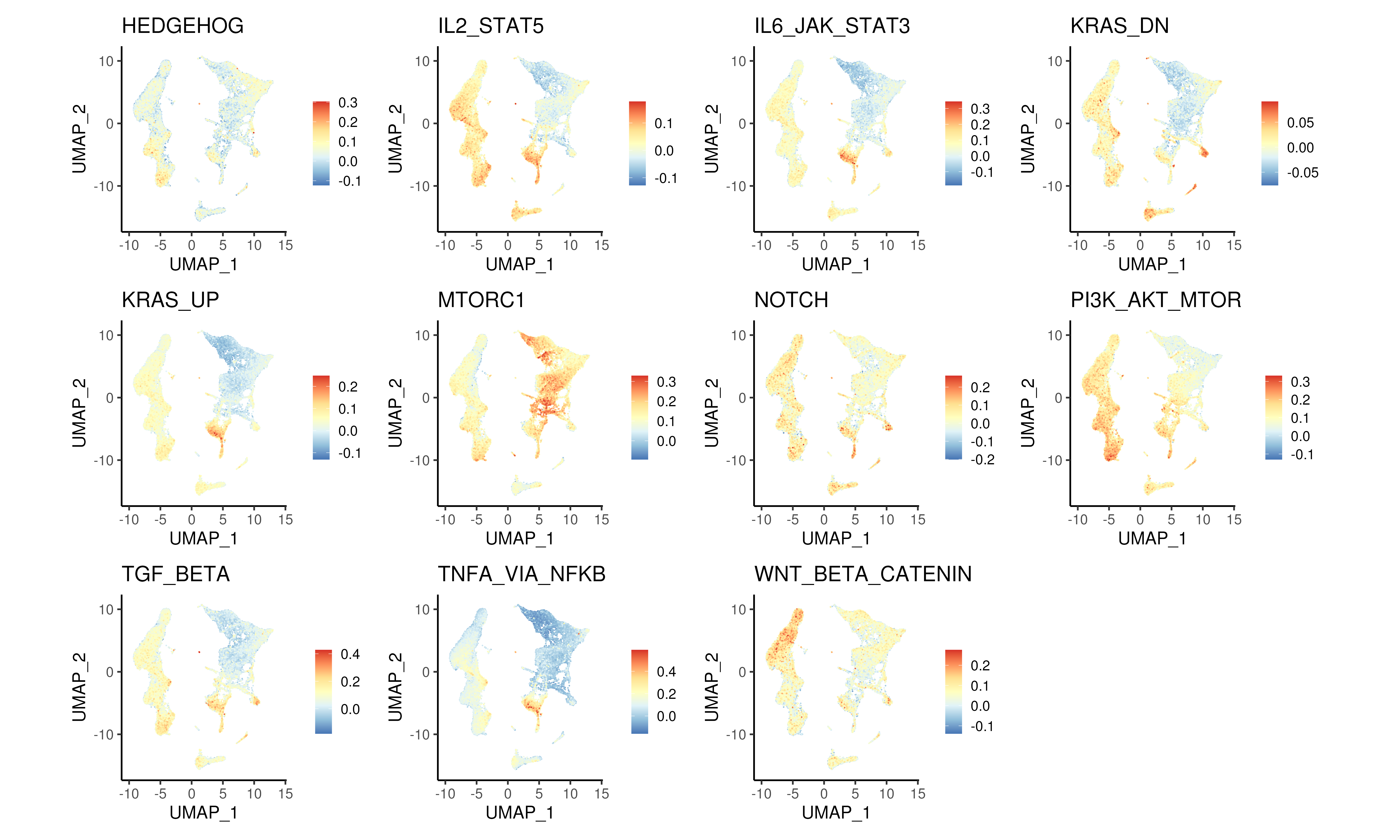 Module scores for different signalling pathways from MSigDB hallmark gene sets.