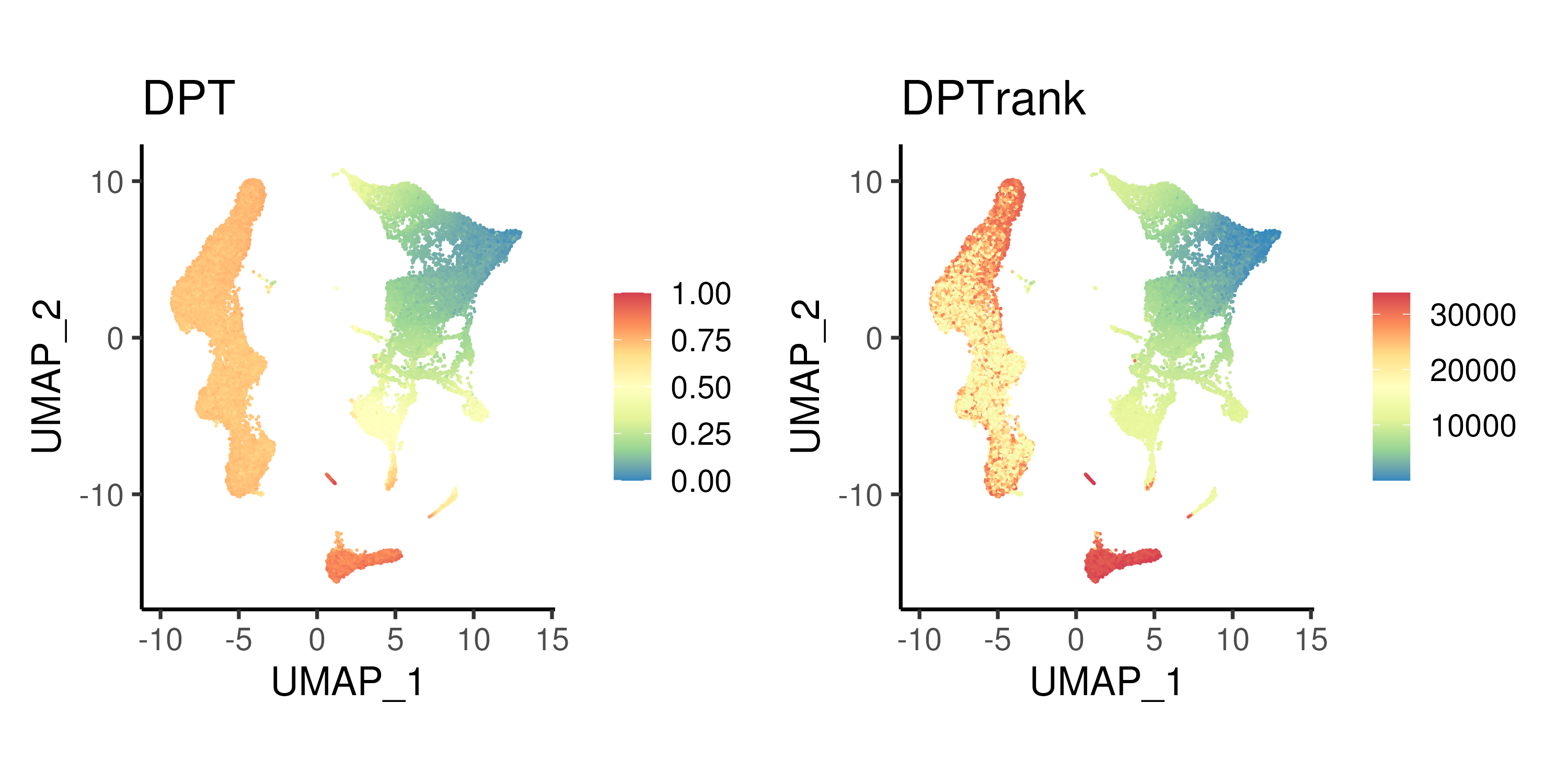 Diffusion pseudotime calculated using top 10 DCs and the corresponding rank.