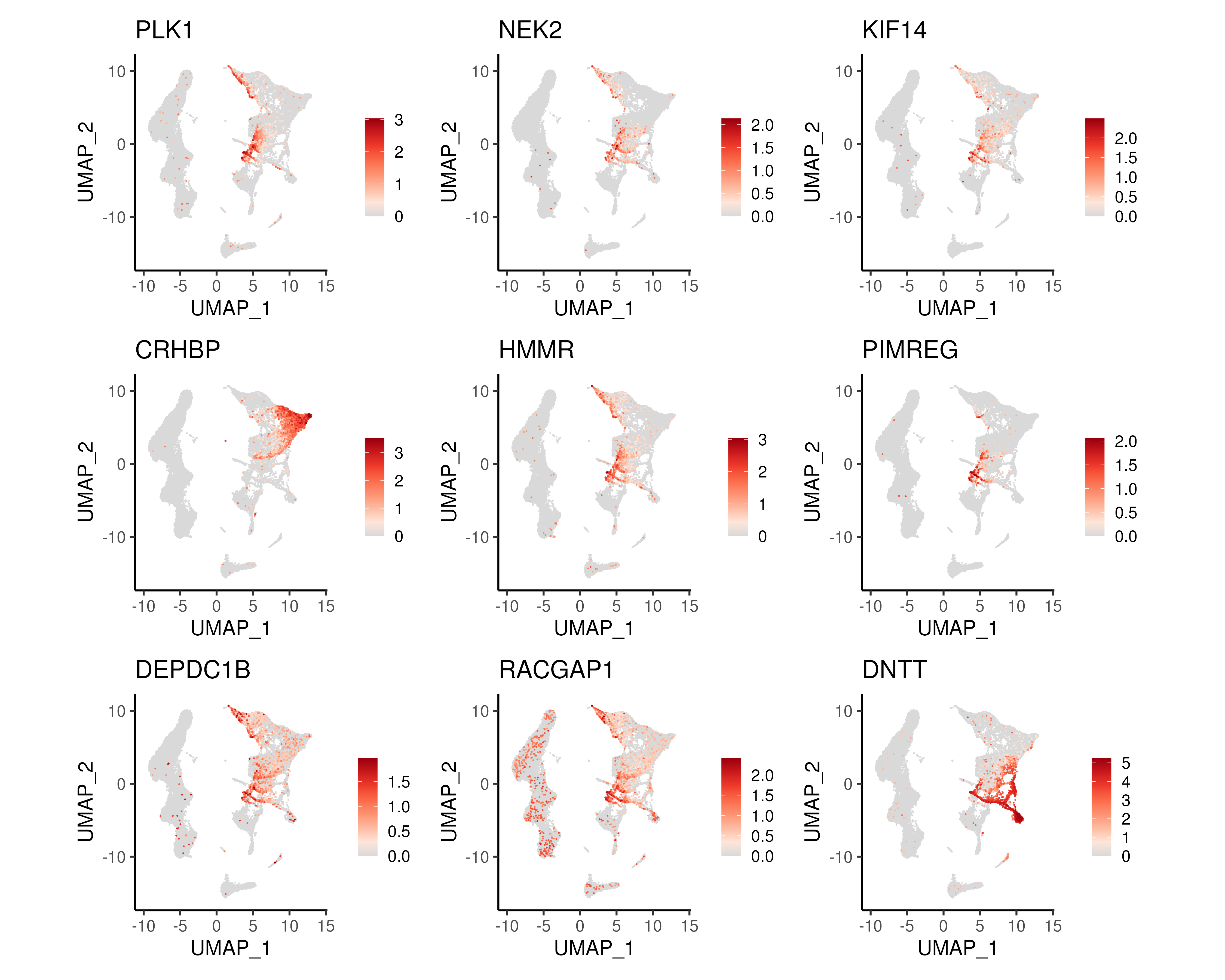 UMAP of top 9 DEGs along the HSC->MyP and HSC->LyP trajectories.