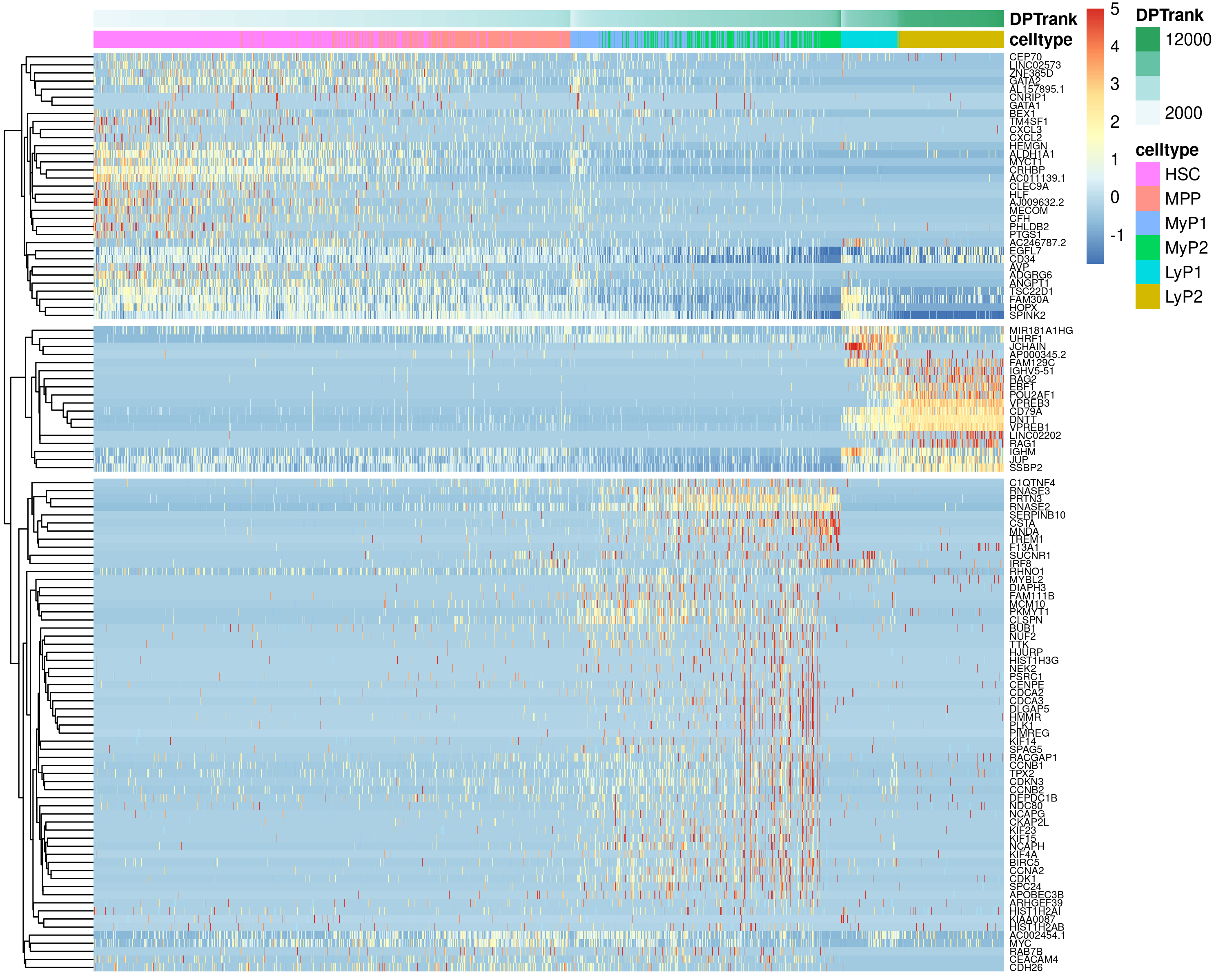 Heatmap showing gene expression changes across pseudotime for the top genes changing along the HSC->MyP and HSC->LyP trajectories.