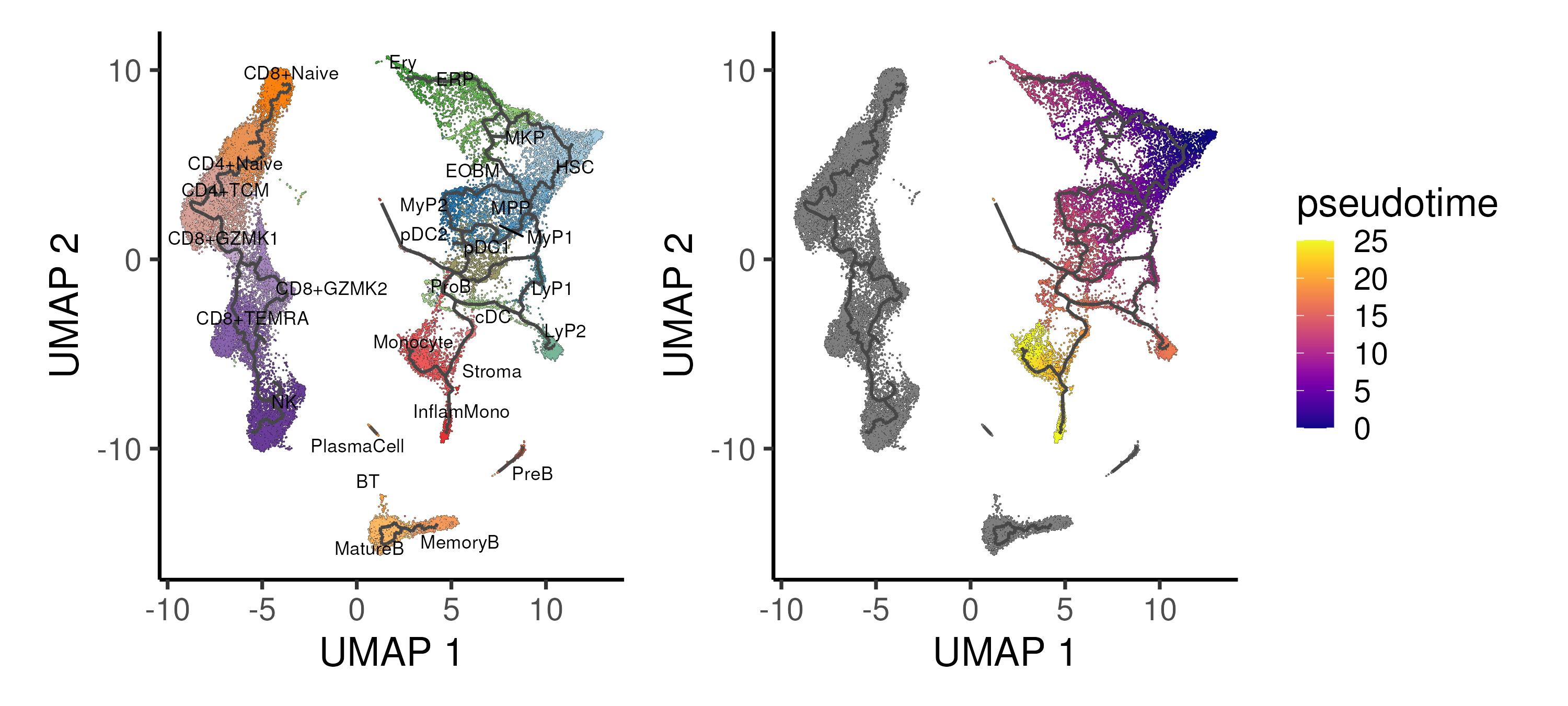 Trajectory inference using the Monocle algorithm applied onto the UMAP space, showing the different trajectories and inferred pseudotime for the CD34 progenitor "island". Cells are coloured by annotated cell types.