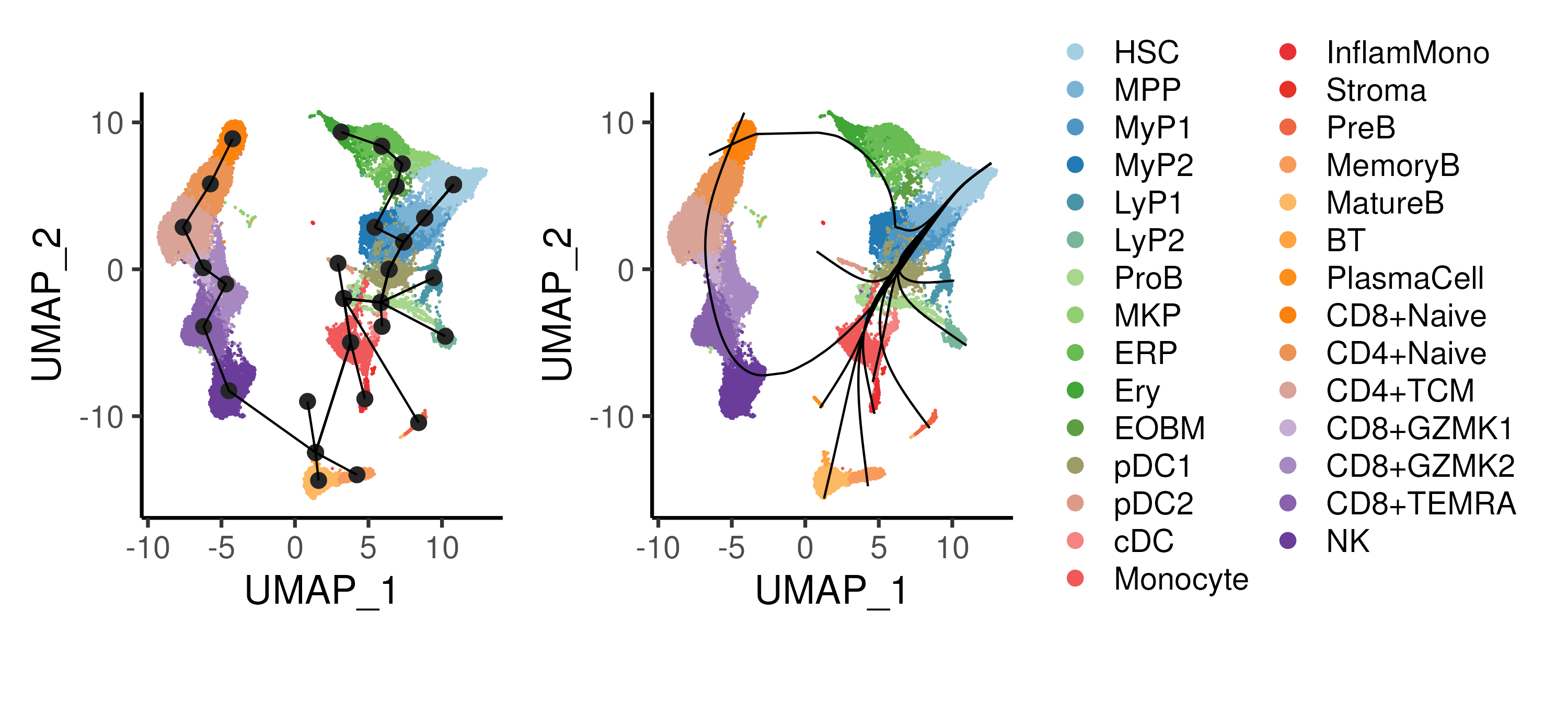 Trajectory inference using the Slingshot algorithm, showing the cluster connectivity and smoothed trajectories. Cells are coloured by annotated cell types.