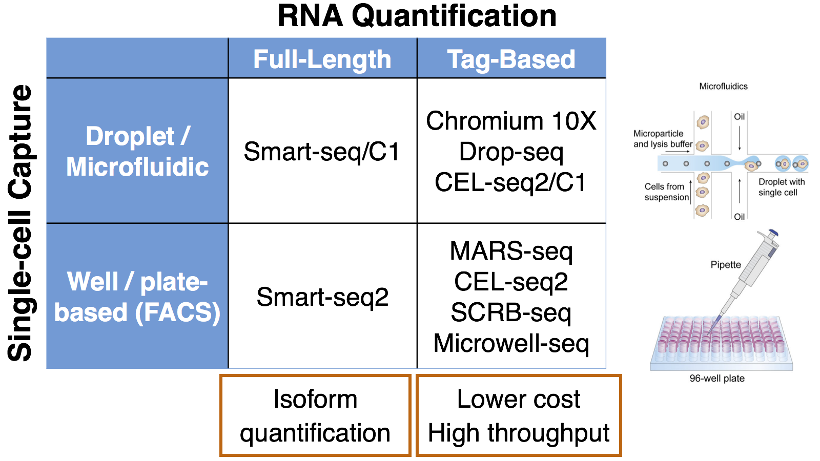 scRNA-seq techniques differ in single-cell capture and quantification of RNA abundance.