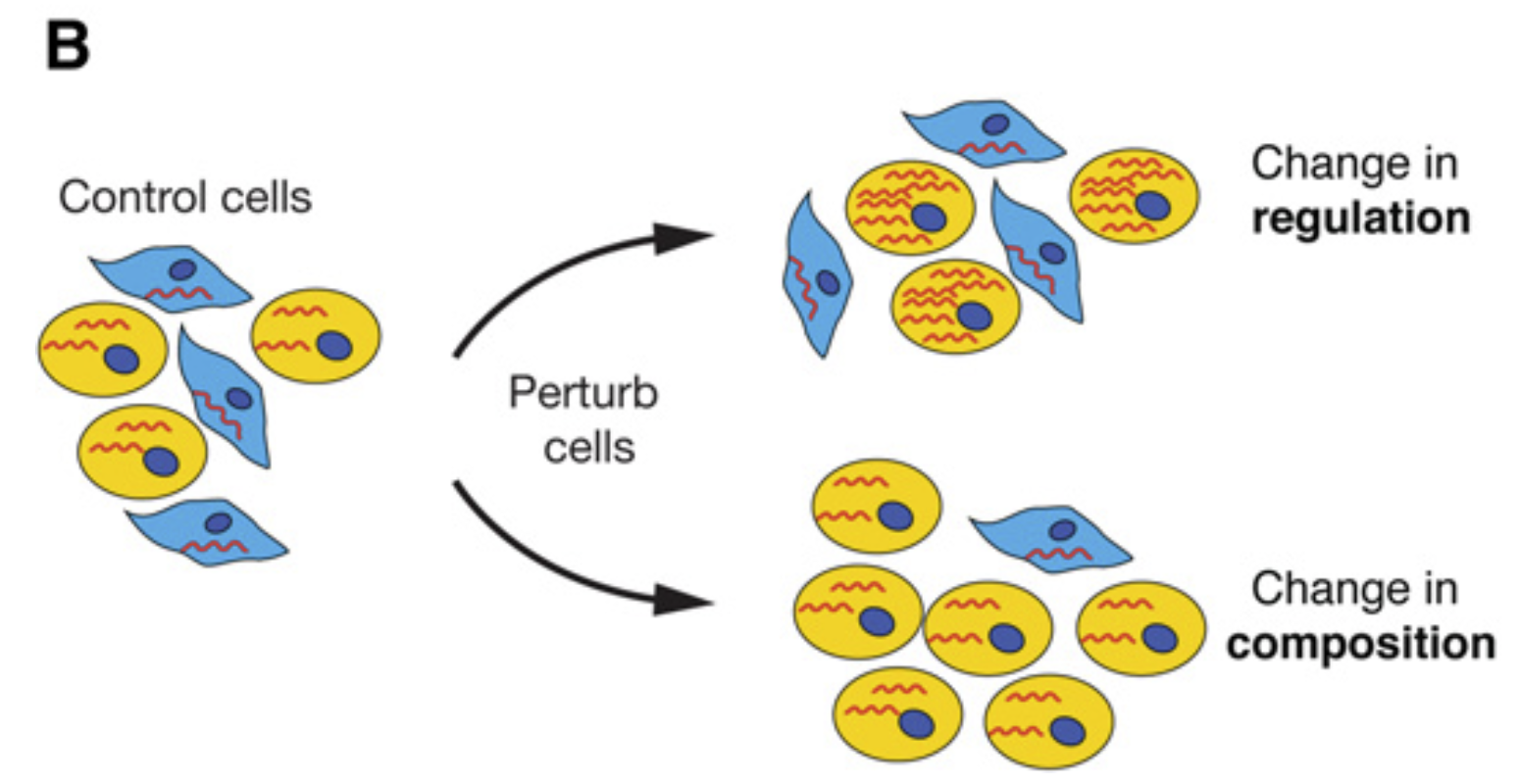 Changes in gene expression can be due to a change in regulation or a change in composition. Image taken from @trapnell2015_change.