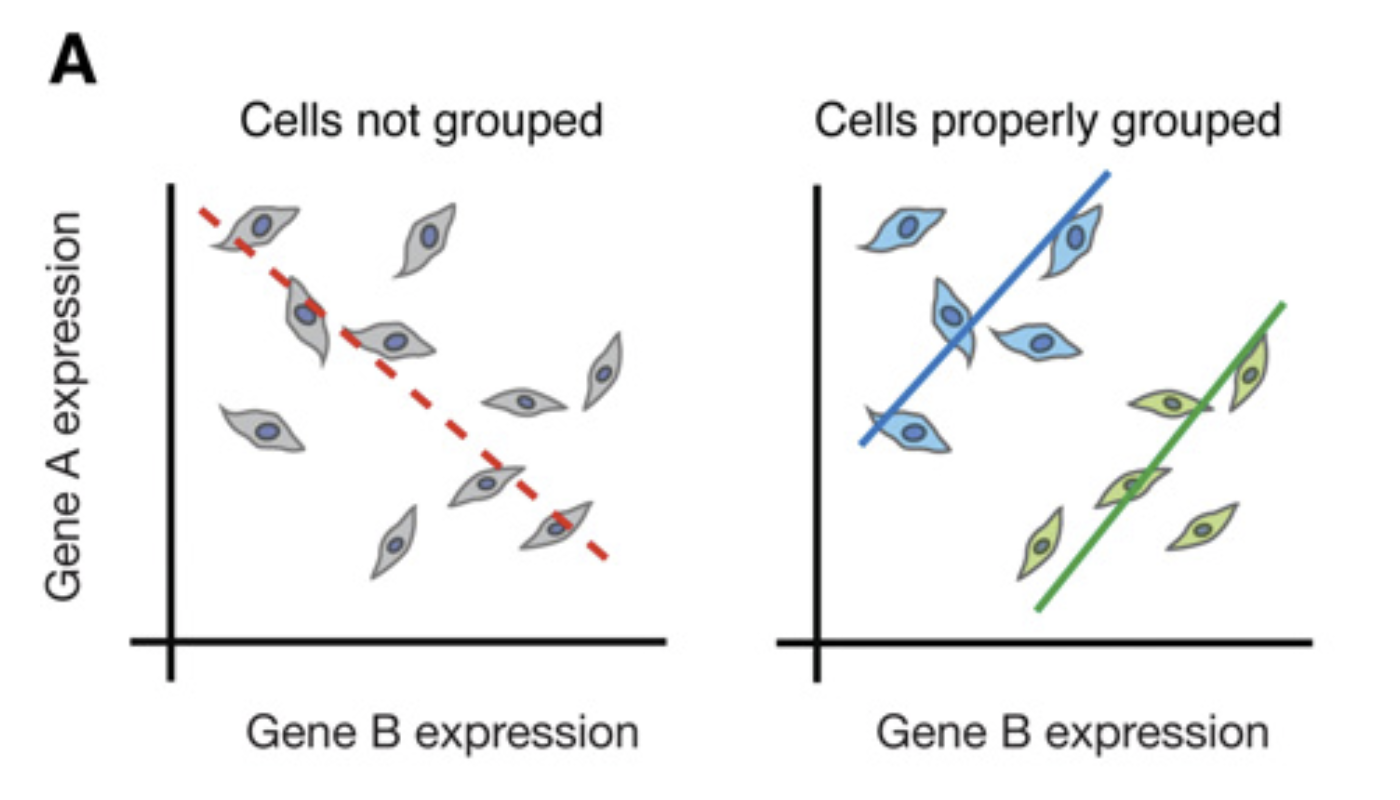 In the scRNA-seq analysis, it is important to consider Simpson's paradox where trends disappear or reverse with different grouping of cells. Image taken from @trapnell2015_change.