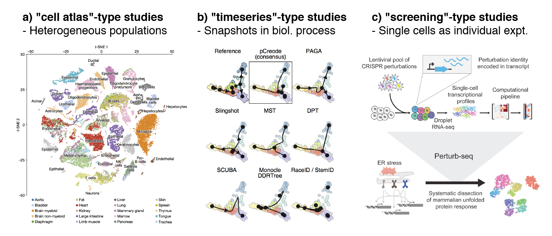 Single-cell studies can be broadly classified into (a) "cell atlas"-type studies e.g. the tabula murris mouse atlas [@tabulamurris2018], (b) "timeseries"-type studies where biological trajectories can be inferred using various algorithms [@saelens2019_scTraj] and (c) "screening"-type studies e.g. perturb-seq [@adamson2016_perturb; @replogle2020_scPerturb].